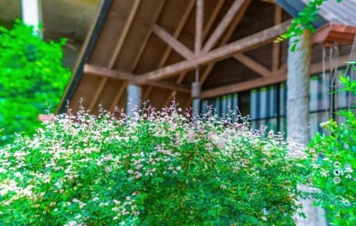 Passi Nature Villas Passikudah Kalkudah  Dış mekan fotoğraf
