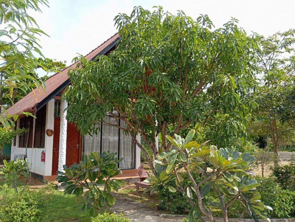 Passi Nature Villas Passikudah Kalkudah  Dış mekan fotoğraf